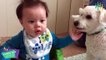 Funny Animal Fails Compilations   Cute Kids and Animals Funny Video Compilations