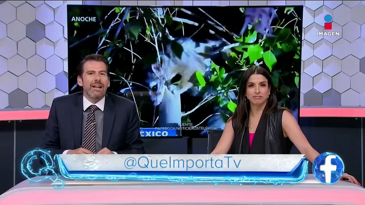 Qué Importa | Programa Completo 12/marzo/2010