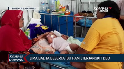 Lima Balita dan Ibu Hamil Terjangkit Demam Berdarah