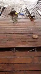 מנזקי הסערה באילת צילום אור היינה 1.3.20