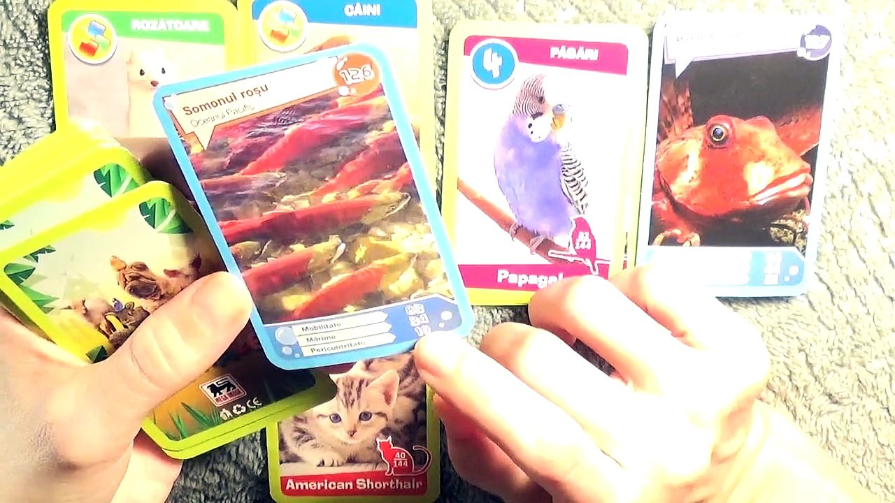 15 ASMR ROMANA, SOPTIT PT SOMN&RELAXARE, SUNETE CARTI DE JOC
