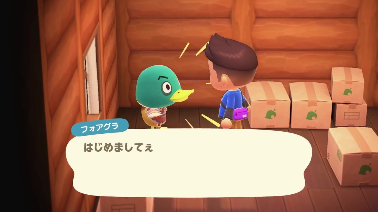 Animal Crossing New Horizons - Pub Japon (échanges)