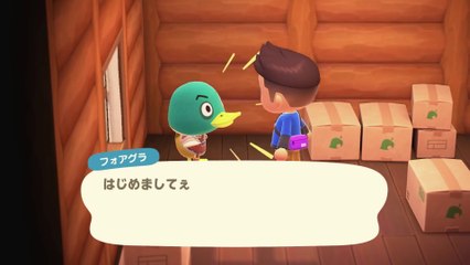 Animal Crossing New Horizons - Pub Japon (échanges)