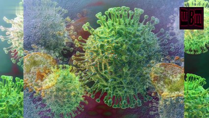 Know the location of  treatment in Pune of corona virus