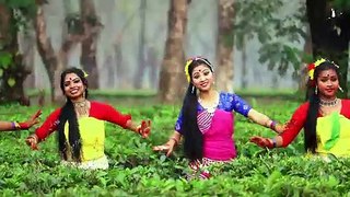 বারো মাসে তেরো ফুল ফোটে নাচের ভিডিও ------HD video