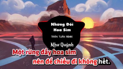 Những Đồi Hoa Sim (Remix) (Karaoke Beat) - Như Quỳnh & TrầnTuấn Remix