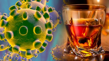 Is Brandy And Beer The Best Medicine For Coronavirus | Oneindia Kannada