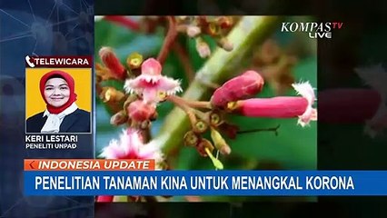 Tanaman Ini Bisa Tangkal Corona?