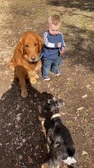 Boy More Excited Than Dog About Walk Time