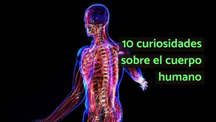 10 curiosidades sobre el cuerpo humano