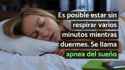 10 datos curiosos del sueño