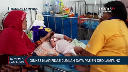 Dinkes Klarifikasi Jumlah Data Pasien DBD Lampung