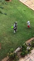 فيديو.. أطفال مدينتى يبتهجون بتساقط الثلوج