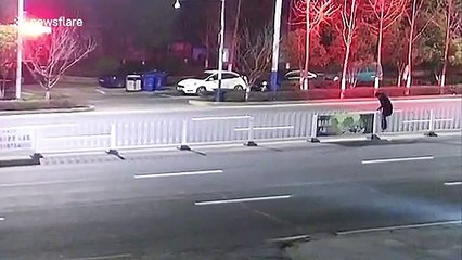 Chinese man arrested after deliberately tipping over central reservation fence onto road