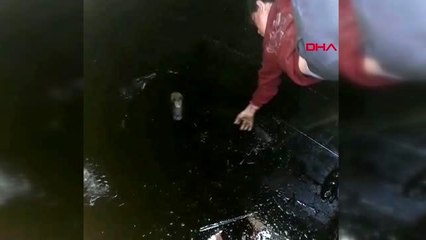 DİYARBAKIR Çocukların petrol atığı kuyusundan kurtardıkları köpeği sahiplendiler