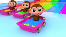 Learn Colors Baby Monkey Soccer Ball Water Slide Wheels On The Bus Song for Kid Children