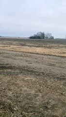 Cute Calf Follows Girl on Bike Ride