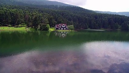 Drone view - landscape with house