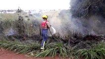 Bombeiros combatem incêndio em vegetação no Bairro Parque Verde