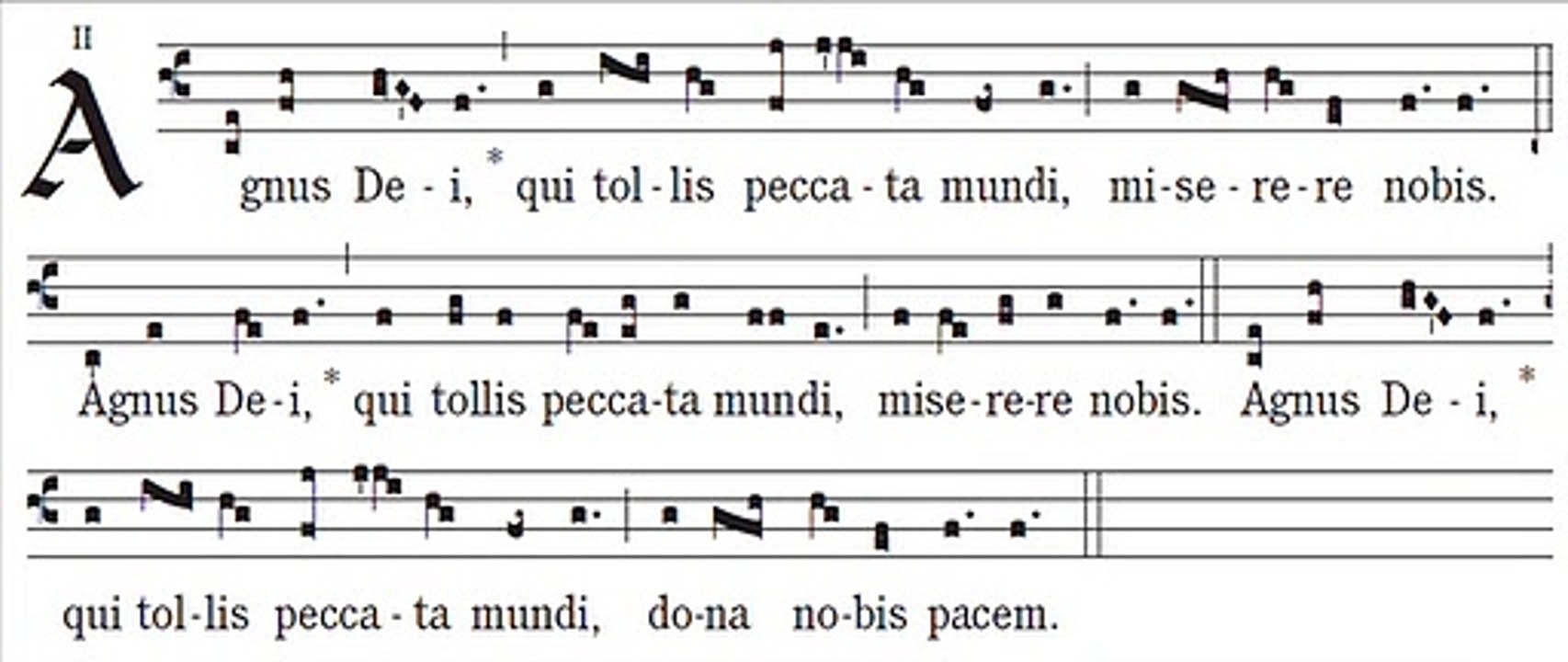 Agnus Dei Missa XII, Pater cuncta