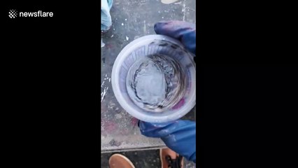 Lacquer thinner mixed with metal flake paint gives a mesmerising reaction