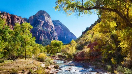 Mistakes to Avoid When Visiting a National Park