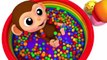 Learn Colors with Little Baby Monkey Stacking Ring Finger Song for Kid Children
