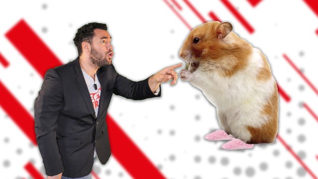 Ces objets WTF oubliés dans les VTC - Tech a Break #46