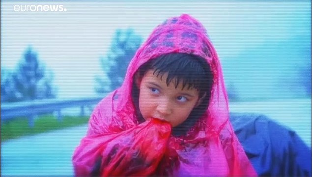 La Roumanie, cible de la mafia du bois