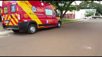 Mulher é atacada por abelhas no Bairro Country e Siate foi acionado