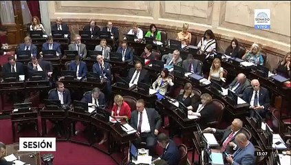 Cristina en el Senado 2