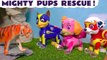 Paw Patrol Mighty Pups Rescue with Funlings and Flip A Zoo with Disney Pixar Cars 3 Lightning McQueen Family Friendly Full Episode English from a Kid Friendly Family Channel