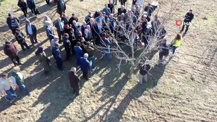 Bilecik'te 'Ceviz Budama Günü' yapıldı