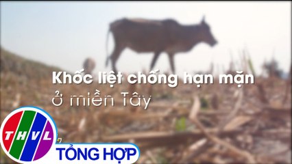Chủ động thay đổi để thích ứng với hạn mặn khốc liệt ở miền Tây