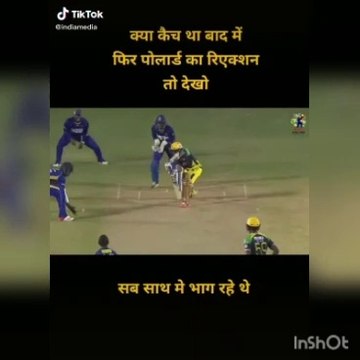 Funny cricket tik Tok videos /funny cricket moments