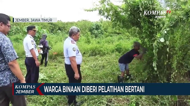 Warga Binaan Lapas Dilatih Bertani Edamame dan Okra