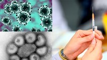 Coronavirus Vs Spanish Flu : स्पेनिश फ्लू की तरह कोरोना वायरस क्यों नहीं हुआ खतरनाक | Boldsky