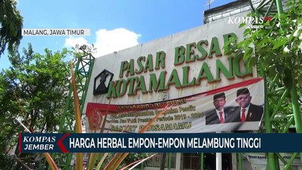 Dipercaya Cegah Corona, Harga Empon-Empon Melambung Tinggi