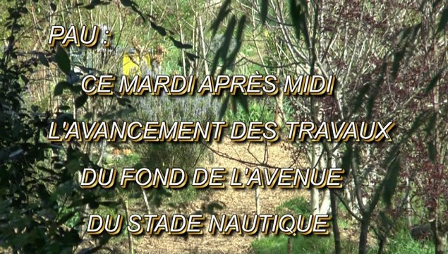 LES W-D.D. MICHOU NEWS - 10 MARS 2020 - PAU - CE MARDI APRÈS MIDI L'AVANCEMENT DES TRAVAUX DU FOND DE L'AVENUE DU STADE NAUTIQUE