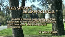 LES SCOOPS DE MICHOU W-D.D. - 11 MARS 2020 - PAU - AU PARC BEAUMONT UN TOIT AU DESSUS DES BANCS DES TOILETTES PUBLIQUE
