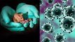 Coronavirus : Mice की वजह नहीं बन पा रहा कोरोना वायरस Vaccine | Boldsky
