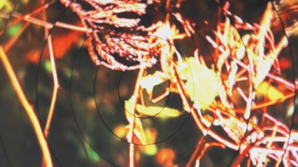 Tomoyuki Nagasawa - Flashback Mabataki