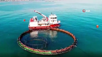 Gürdoğan: Doğu Karadeniz'den su ürünleri ihracatındaki artışı karşılamak için yeni yatırımlar yapmak gerekiyor'