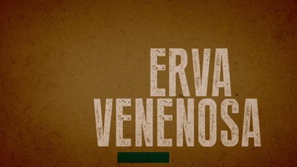 Valentina Francisco - Erva Venenosa