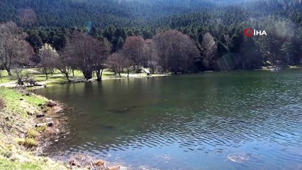 Korona virüsü korkusu turizmi etkiledi