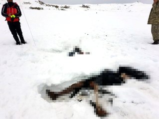 Çaldıran kırsalında 7 kaçak göçmenin cesedine ulaşıldı