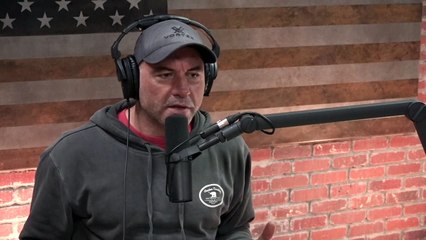 Joe Rogan Experience #1439 Michael Osterholm Part 2