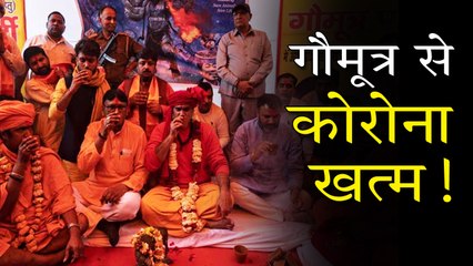 क्या गौमूत्र पार्टी से थमेगा कोरोना का कहर ?