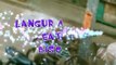 Langur Monkey Eating Biscuits | Langur Monkey Eating Snatches Food | Langur Monkey Funny Video #01