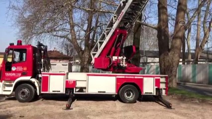 Ağaçta mahsur kalan papağan "Muzo"yu itfaiye kurtardı